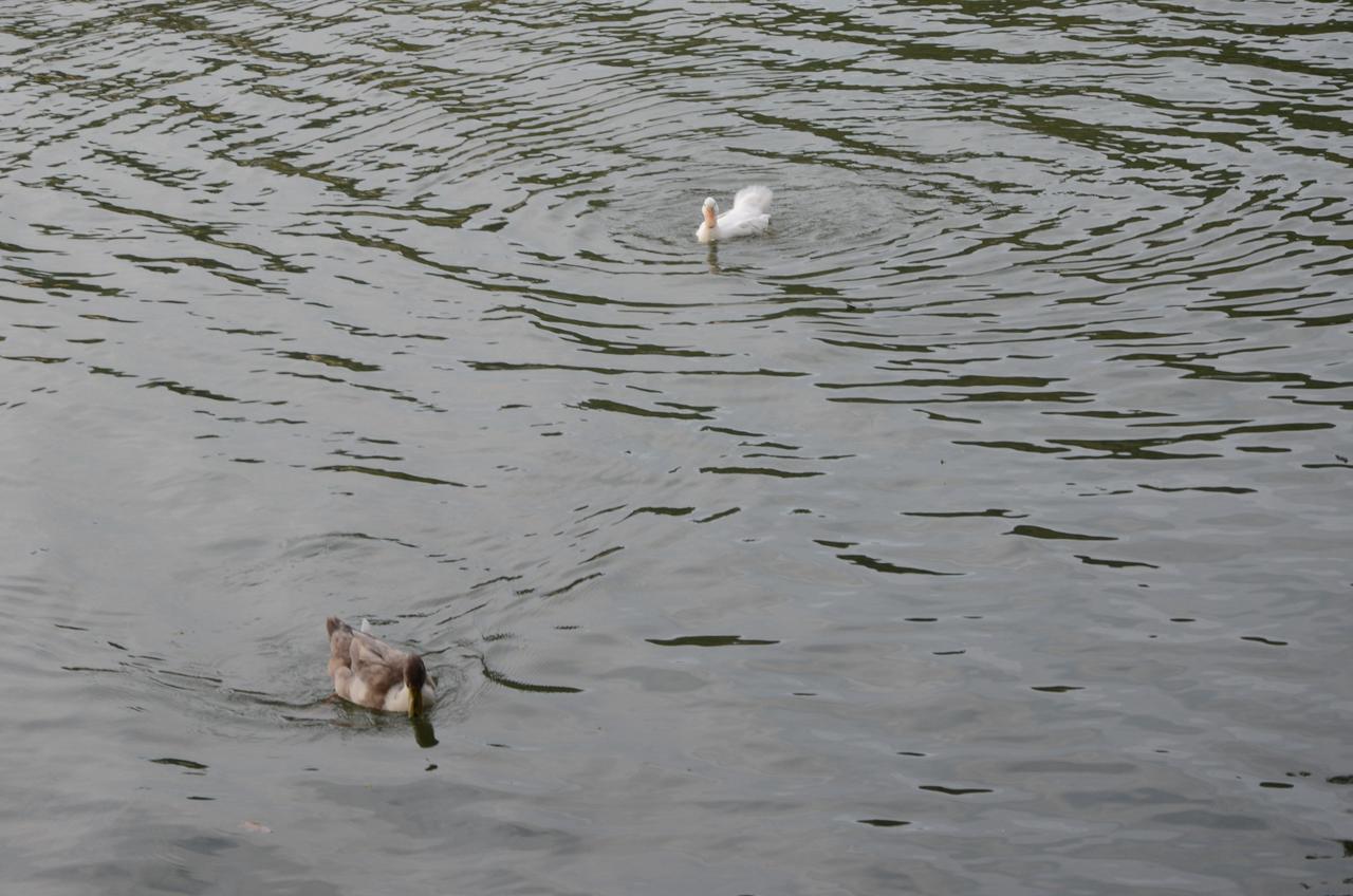 Kandy Waters エクステリア 写真